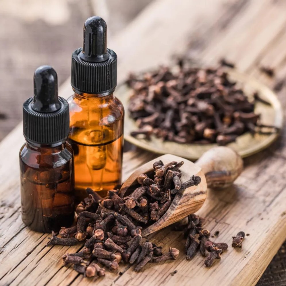 clove essential oil